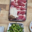 오리장군 이미지