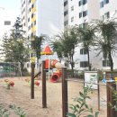 세류동 Daum카페