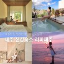 리피 스테이 | [공지] 제주도 신상 감성숙소 독채 에어비앤비 애월 리피 제주 총정리(B룸 가격 자쿠지 편의시설)