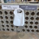 보령우체국 1층 화장실 | 보령 고기집 맛집 화화돼지왕갈비 보령점 후기