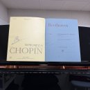 이곡교량2 | 피아노근황｜쇼팽 즉흥곡 3번 배우기