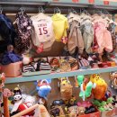 삼성애견 이미지