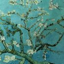 삼평동624-2 이미지