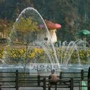 함평자연생태공원 이미지