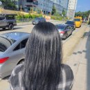 The 블루헤어