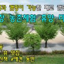 캠핑장/소규모 사이트 운영/숙박시설/중장농촌체험휴양마을/체험활동/은행나무뷰맛집/인근 둘레길 소개...