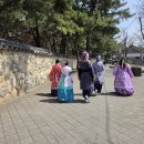 대릉원 신라복 활개펴다 260326 이미지
