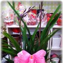 동대구초교 이미지