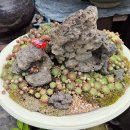 그림정원 이미지