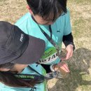 2026년 제 24회 통일기원 포항 마라톤대회 하프 완주 후기