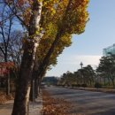 배꼽노래연습장 이미지