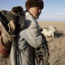 아벨농장 | 2024 부산국제영화제 <아벨>, <그녀의 이름은 씨씨> 관람 후기