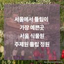 강진9호 | 서울식물원 주제원 튤립 지금 가야 하는 이유 + 주차부터 산책코스까지 현실 정리