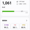 1061 | 직장인 다이어트 식단 2일차｜1061kcal 먹은 현실 후기, 운동은 못했지만 식단은 지켰습니다.