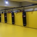 정함체육관 이미지