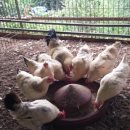 현인농원 이미지