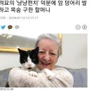 냥냥 이미지