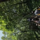 다시터미널 이미지