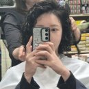 댕기머리 | 동네미용실 봉천 댕기머리 히피펌 후기 : 만족도 100% 뭐뇽 왜 맘에 드뇽