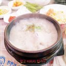 촌닭삼계탕 | 함안 칠서 아라정 옆집부자의비밀노트 촌닭 삼계닭 해신탕 연포탕 삼계탕 닭볶음탕 맛집 솔직 후기 및 리뷰