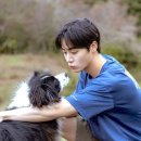 에프터눈 이미지