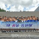 대구팜투어주 투어코리아