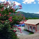 합천호토속식당 이미지