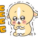 셀프 강아지 목욕탕 이미지