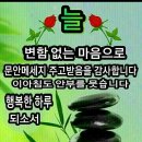 밤마다 꿀잠을 잘 수 있는 노하우 이미지