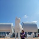 관매도대합실 | 새떼처럼 섬이 많은 조도 관매도(관매리) 참 아름답다