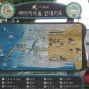 [백미리마을]카약타기 체험 네이버블로그