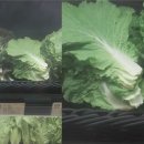 청과야채식품관