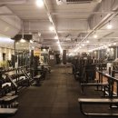 헬로우PT 이미지