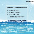 케이타이거즈(KTIGERS) 태권도장 이미지