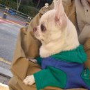 한스동물병원 이미지