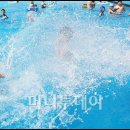 유진어린이수영장 이미지