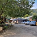 단풍나무펜션민박 이미지