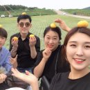 미사랑임실치즈피자 이미지