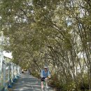 신매대교 자전거도로 이미지