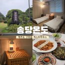 송당 온도 | [제주/숙소] 제주도 구좌읍 게스트하우스 - 송당온도 후기
