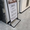 스텔라인핏