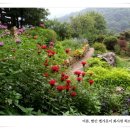 서해에서아침을펜션 이미지