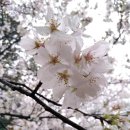 홈케어서비스연구소 | 진월동 세탁기청소 홈케어서비스연구소 세탁기 청소 효과