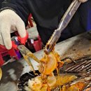 별빛수족관 이미지