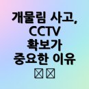 재연법률사무소 | 개물림 사고, CCTV 확보가 중요한 이유 🎥🐶
