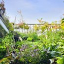 어두육미 이미지