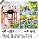 하례환승정류장 | 제주도 수국명소 제주 휴애리 자연생활공원 수국축제 개화시기 정보