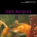 동물들의세상 이미지