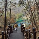 성주산체육공원 테니스장 예약 및 주차 &amp; 후기