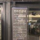 보나리베 | 대형카페] 새벽 3시까지! 불멍과 캠핑 감성의 야간 데이트 명소 '보나리베' 솔직후기 (ft. 열대야 극복)